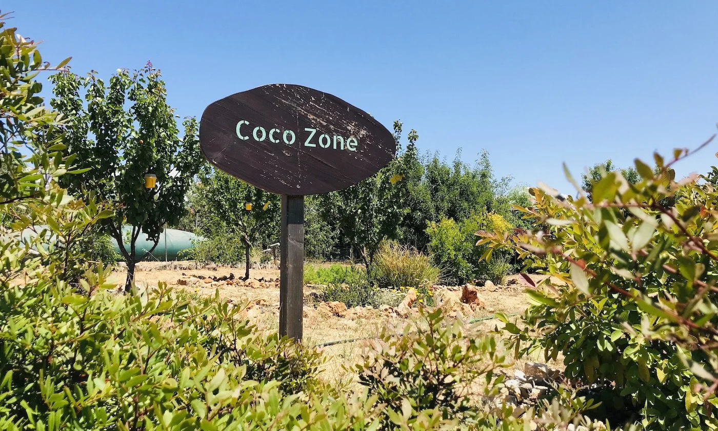 Coco Zone, du sol terrible à la Food Forest Verger des Saveurs