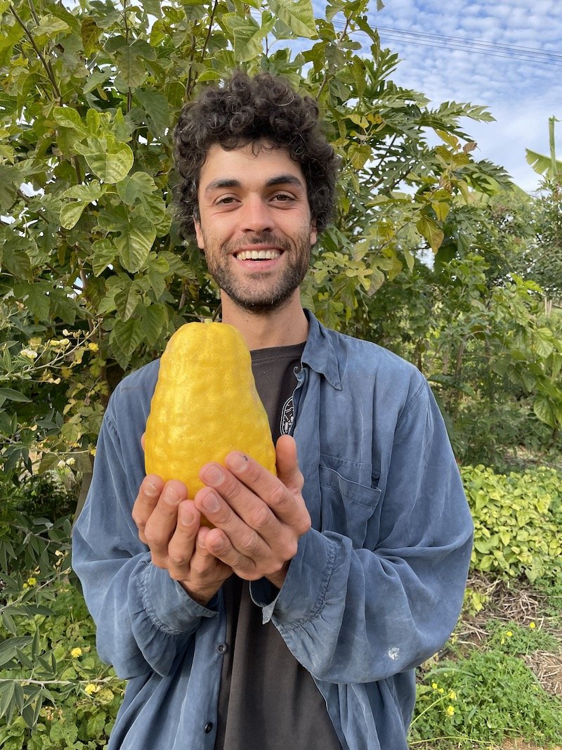Lucas Oliveira - Agronomist - Holding fruit