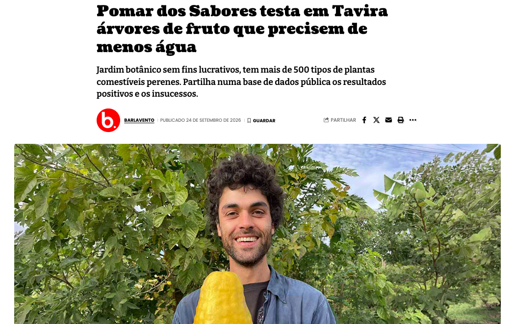 Barlavento's news article about Pomar dos Sabores