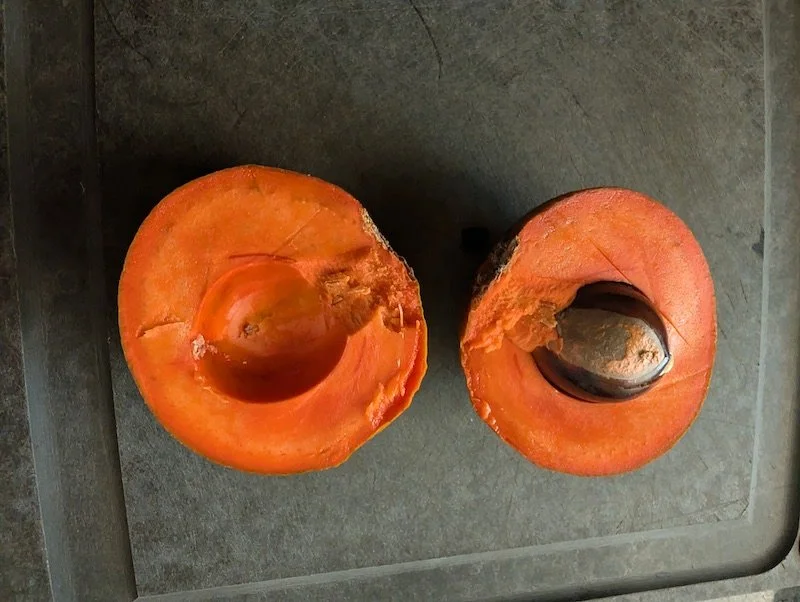 Pouteria viridis - green sapote - cut open