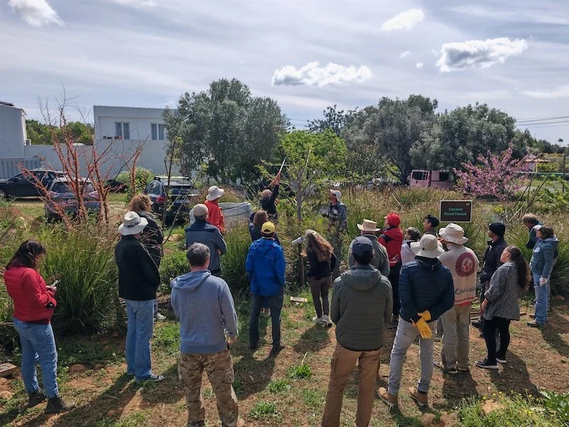 Pruning workshop demonstration