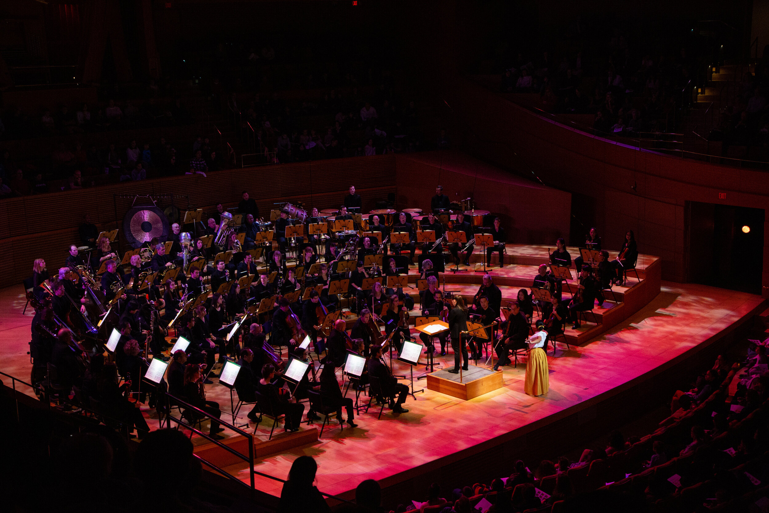 Bhavana performing solo to Los Angeles Philharmonic Orchestra At Disney Hall