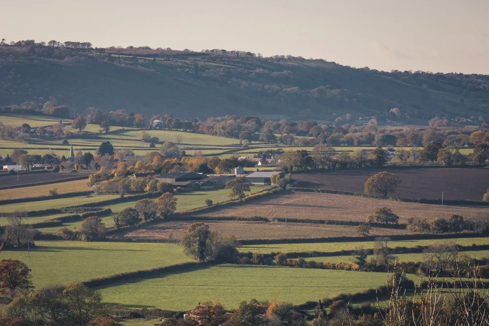 Somerset Dairy Farming