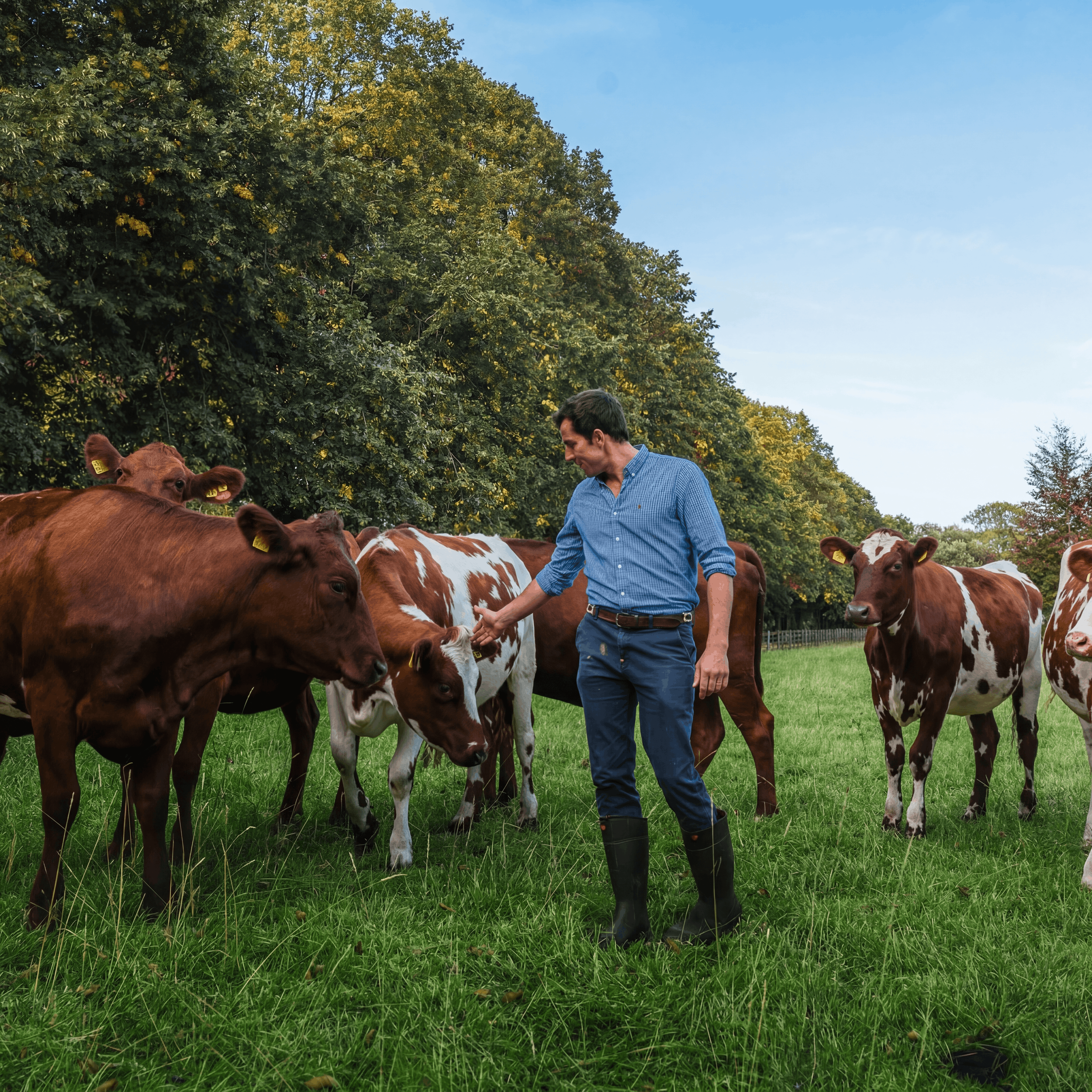 North Widcombe Farm