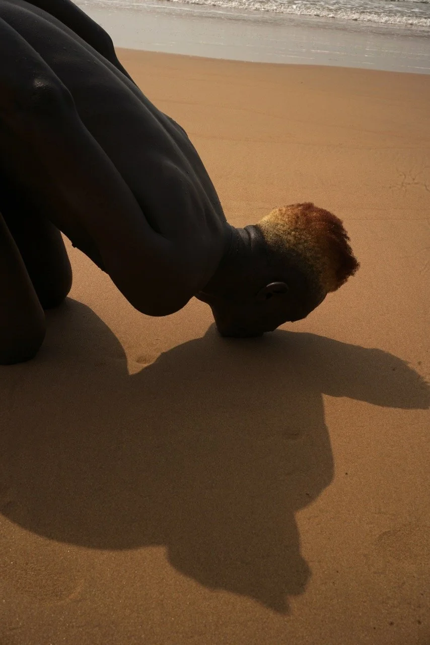 ORG_RAK06748 Large.jpeg