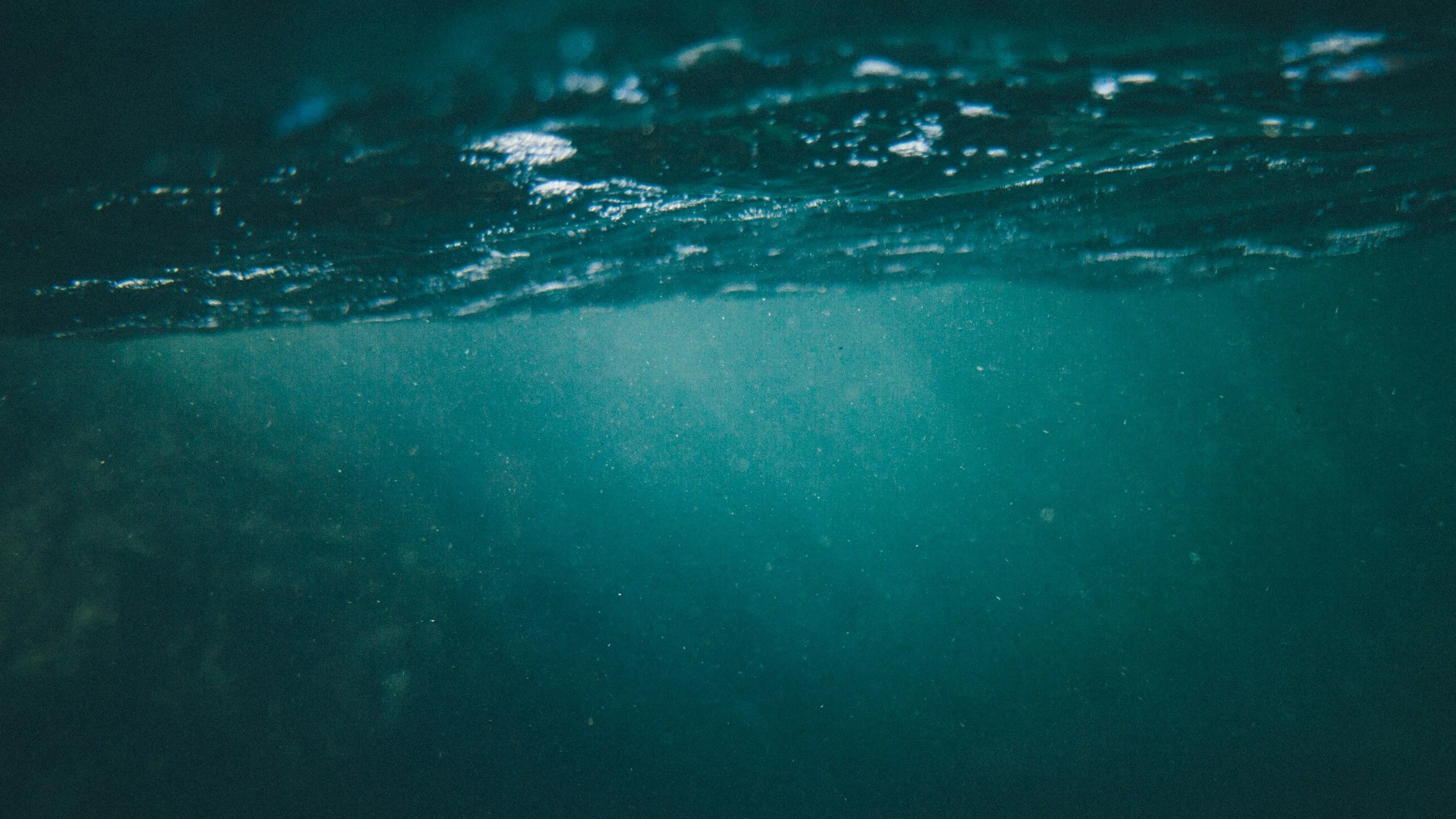 unsplash-image-iBY2XCgPwDA.jpg