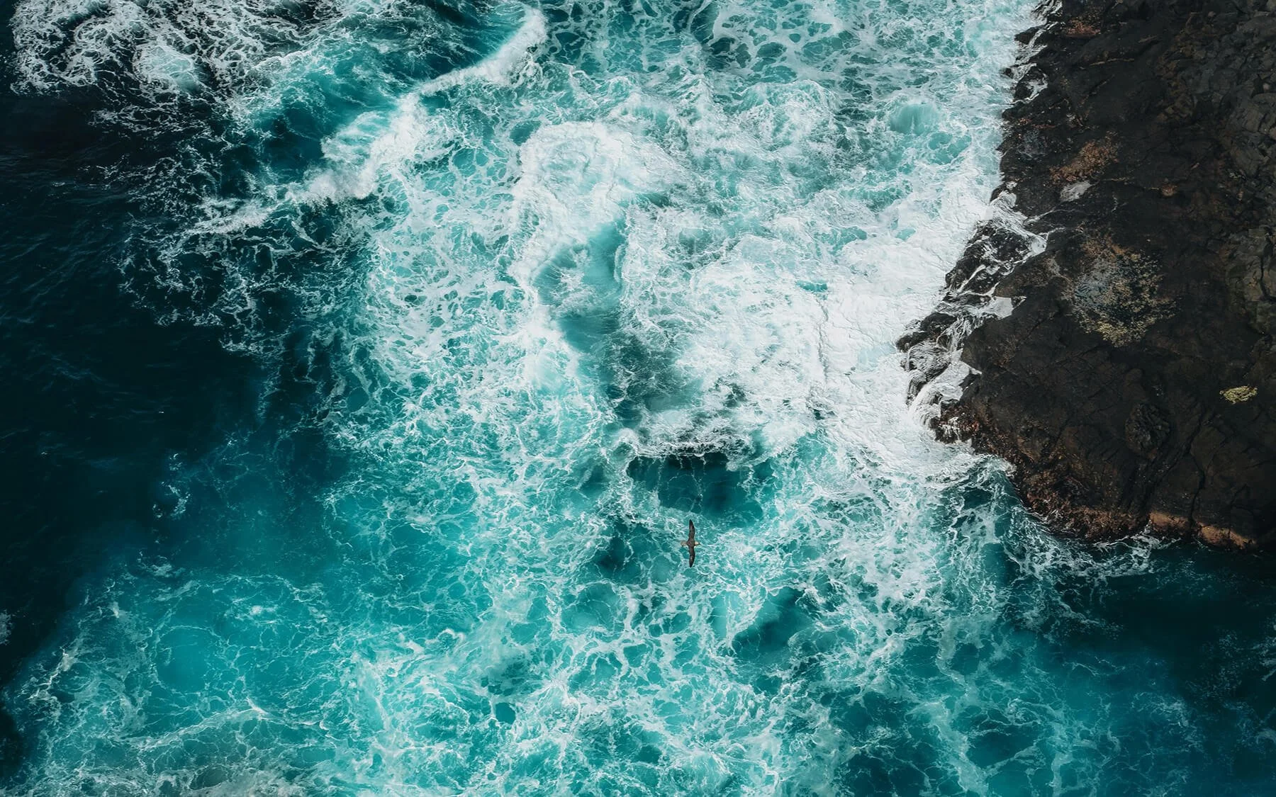 sea-img.jpg