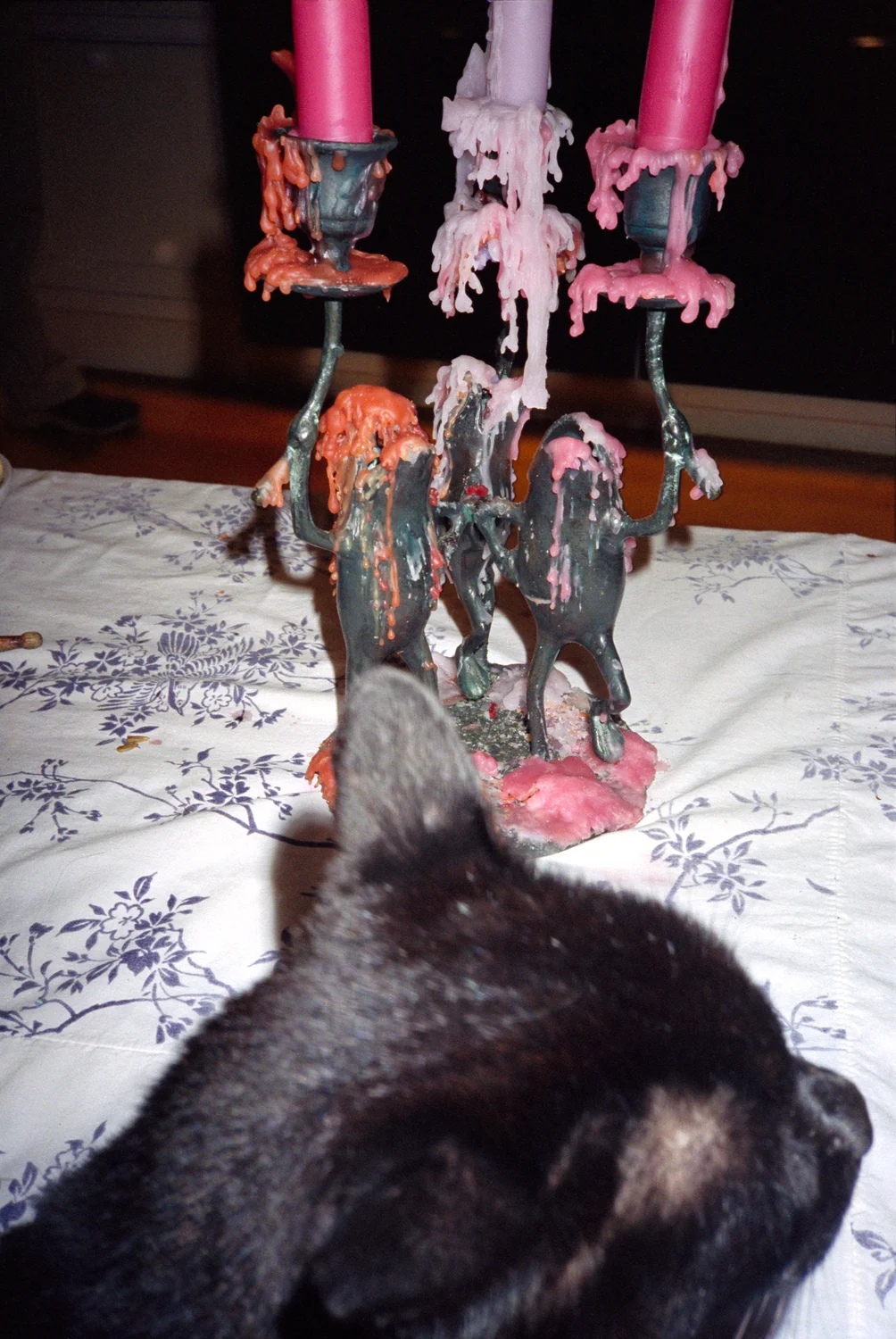 catcandle.jpg