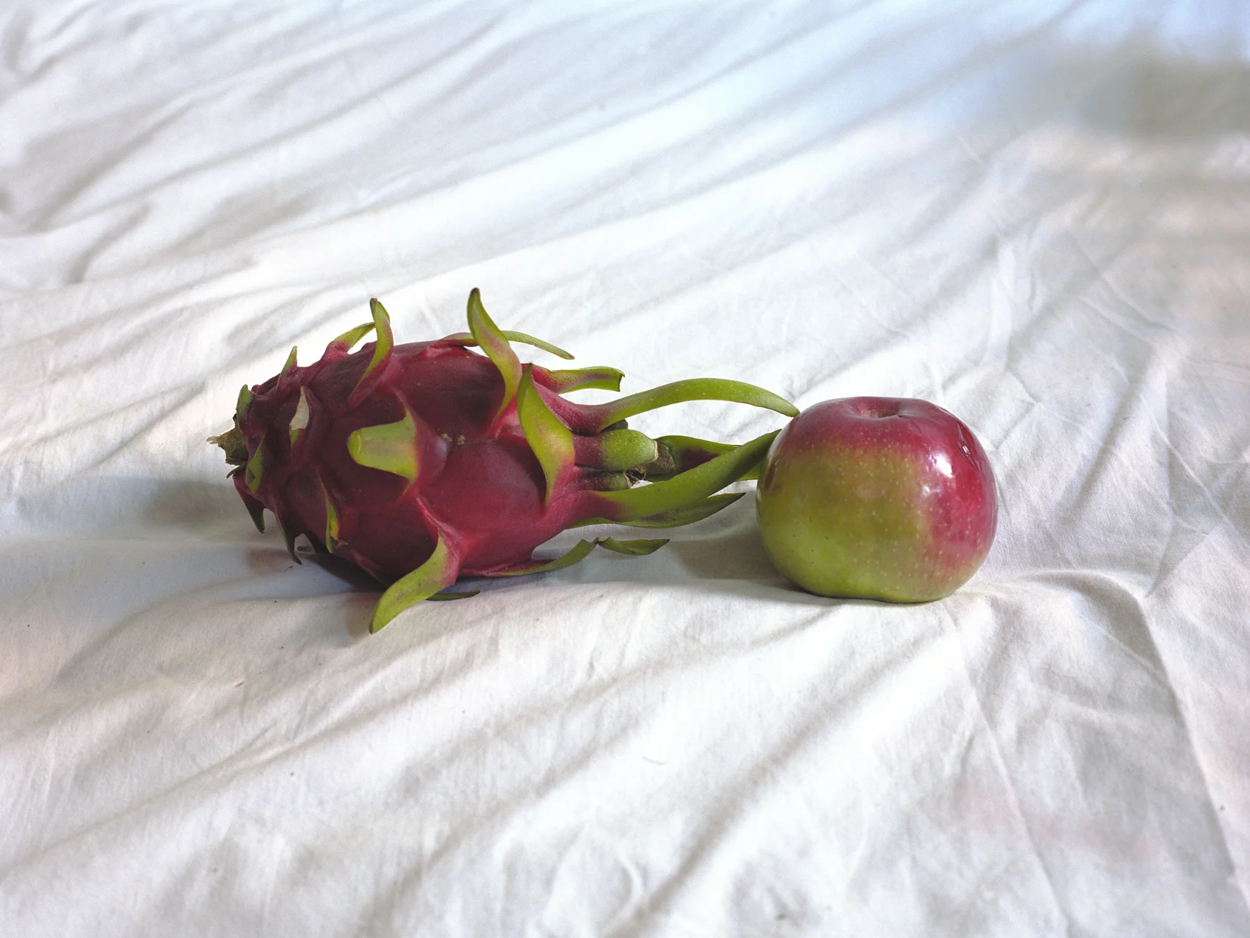 two fruits