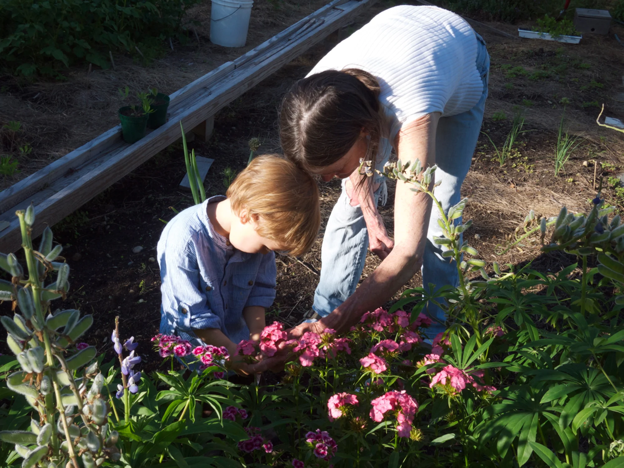 Garden.jpg