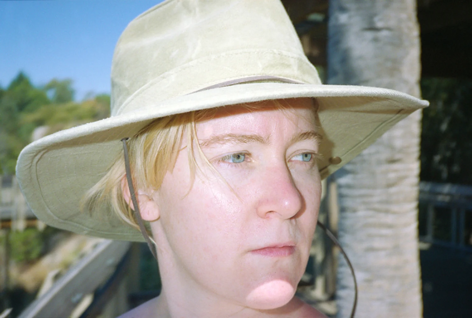 safari