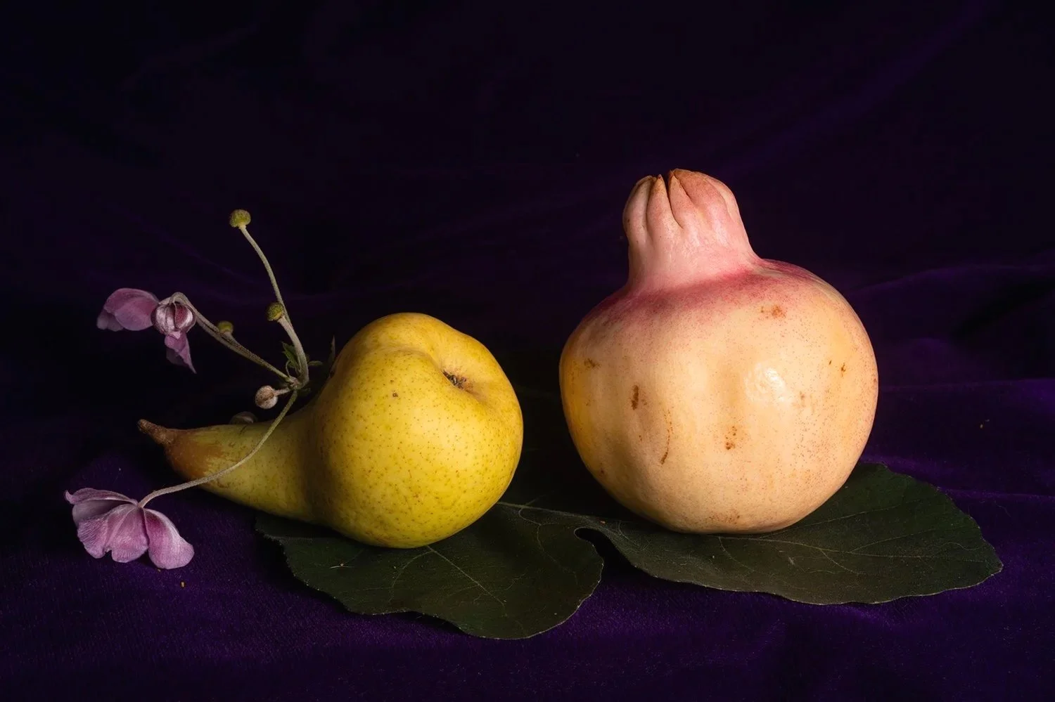 White Pomegranate 2025