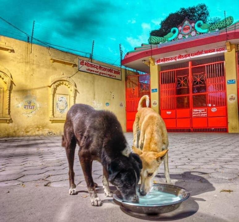 Unknown-11 copy.jpeg