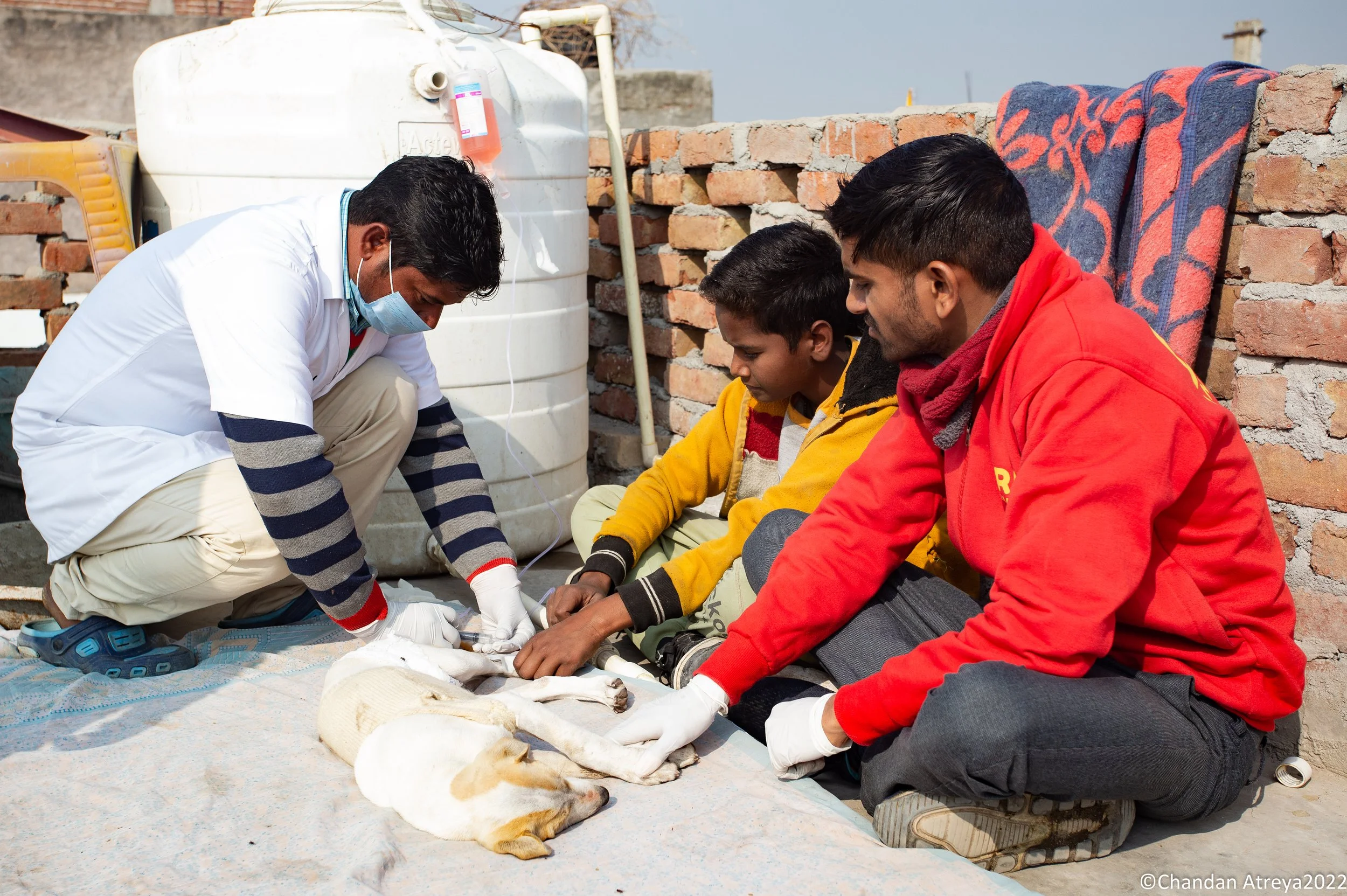 220101_Seva+BAC Treatment_010.JPG