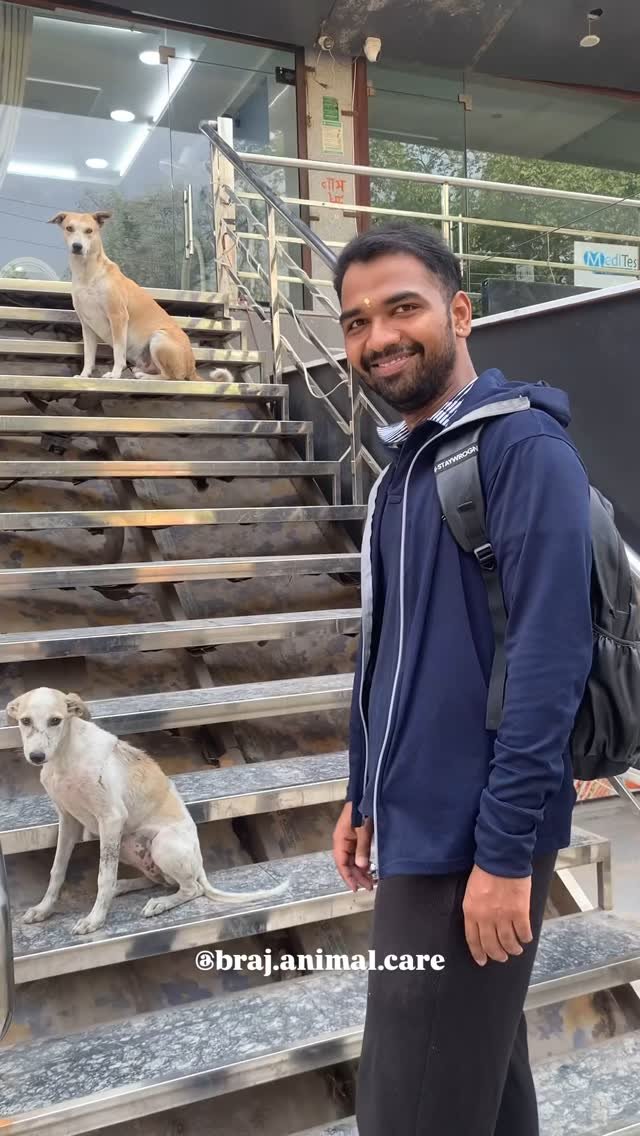 Today @kashishmishra_5 Ji joined us in the morning feeding🙏☺️
#vrindavan #brajdham #foodfeed #animals