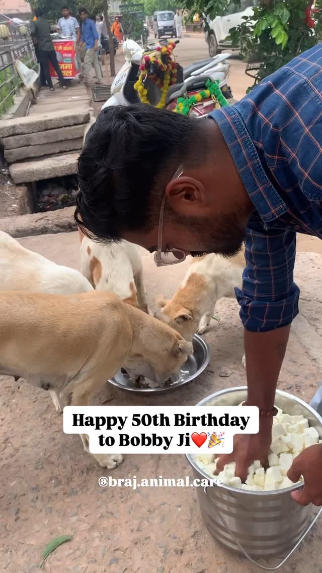 Today it was Bobby Ji’s special birthday feast for the animals of Vrindavan❤️🤗
#vrindavan #feeding #animals #brajanimalcare
