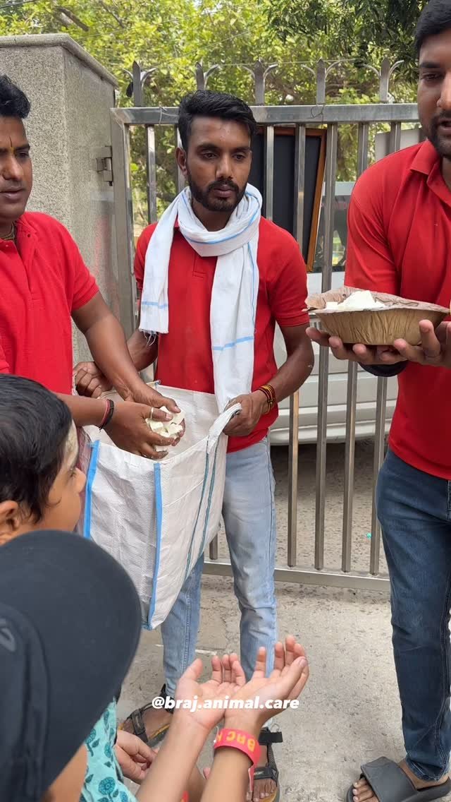 Today, Braj Animal Care held a beautiful event for children called “Bachpan se Seva”. Here’s a preview of today’s morning feeding with the children. We will share more moments from the event soon! #brajanimalcare #vrindavan