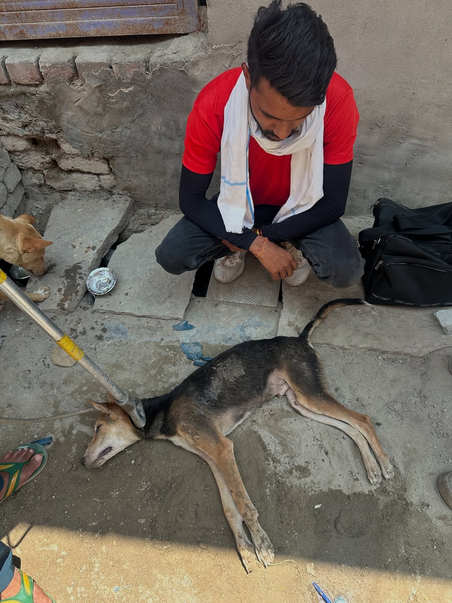 This week, the fighting between India and Pakistan meant that less people came to Vrindavan. As a result, traffic was almost nonexistent, and there were way fewer accident cases.
Of course we’re happy that it looks like there won’t be a