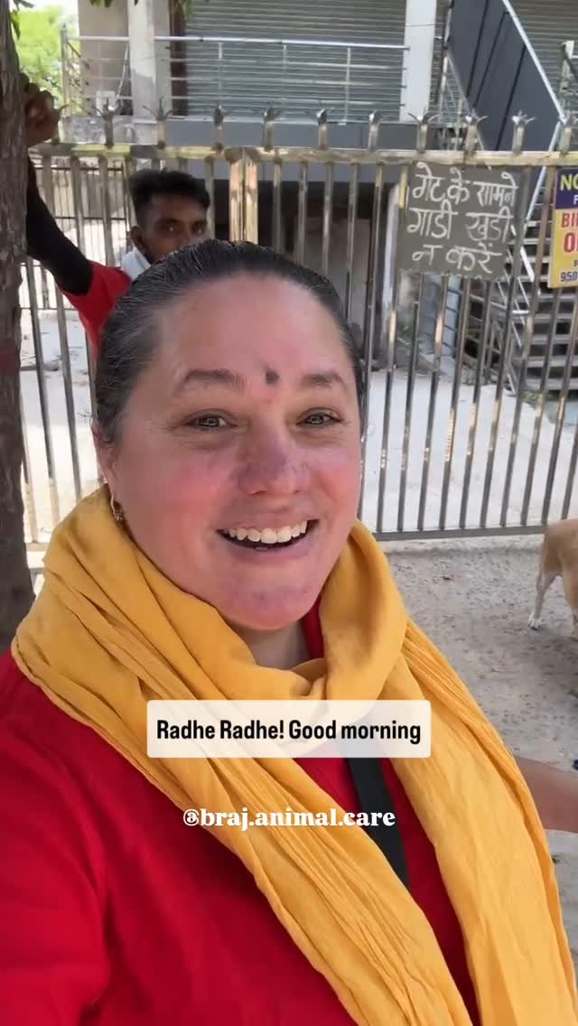 Some moments of our Morning feeding🤗❤️
#vrindavan #dailyfeeding #strayanimals #care