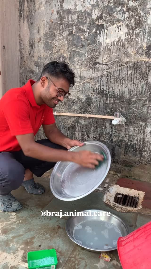 Today’s feeding with Braj Animal Care🤗
#vrindavan #dailyfeeding #strayanimals #care