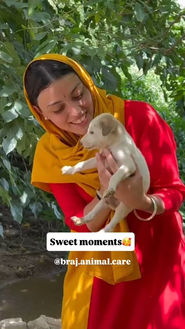 Sharing some sweet moments while feeding these adorable puppies and their dog family🥰
#vrindavan #puppies #cute #dailyfeeding