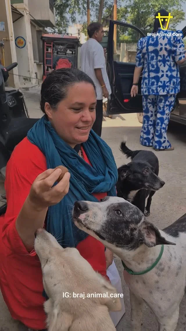 🐶✨ This week, we visited Keli Kunj to deworm the street dogs and give them rabies vaccines.
To make the deworming fun (and tasty 😋), we hid the tablets inside pedas with very little sugar—and the dogs loved it! They gobbled them up almost wi