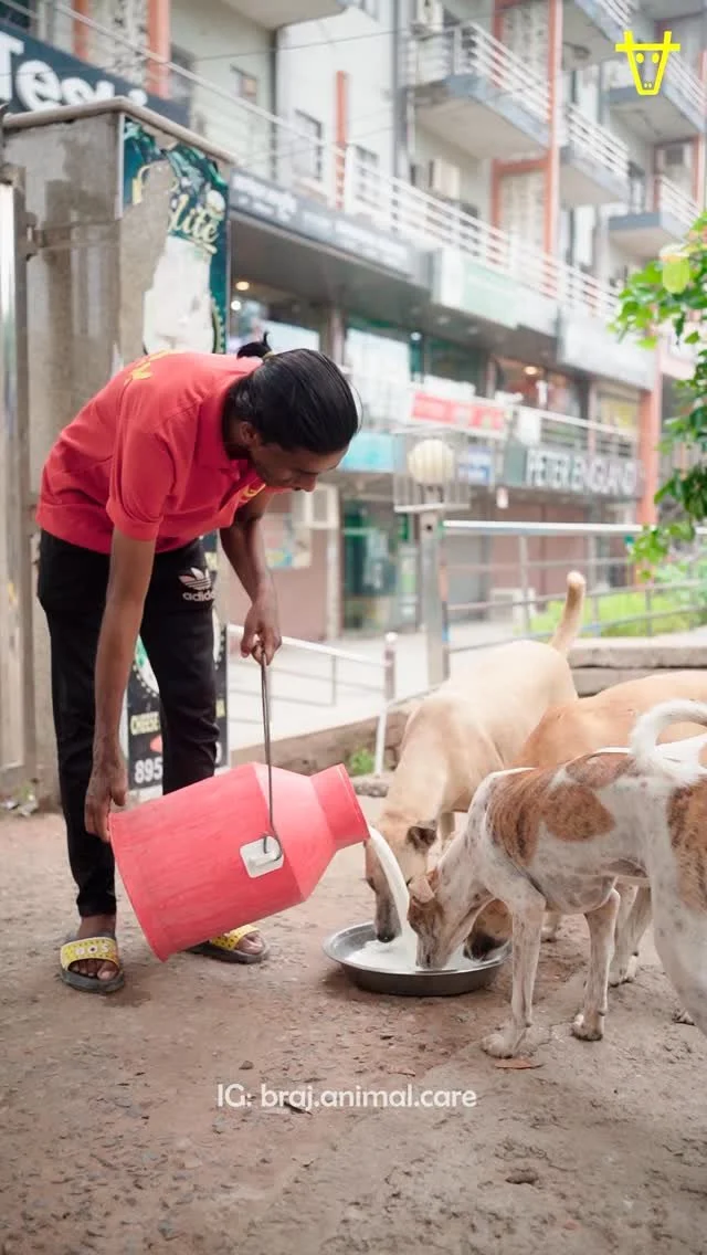 Until one has loved an animal, a part of one’s soul remains unawakened.” — Anatole France πΎβ€οΈπΈβ¨
#BrajAnimalCare #VrindavanDogs #CompassionInAction #EveryLifeMatters