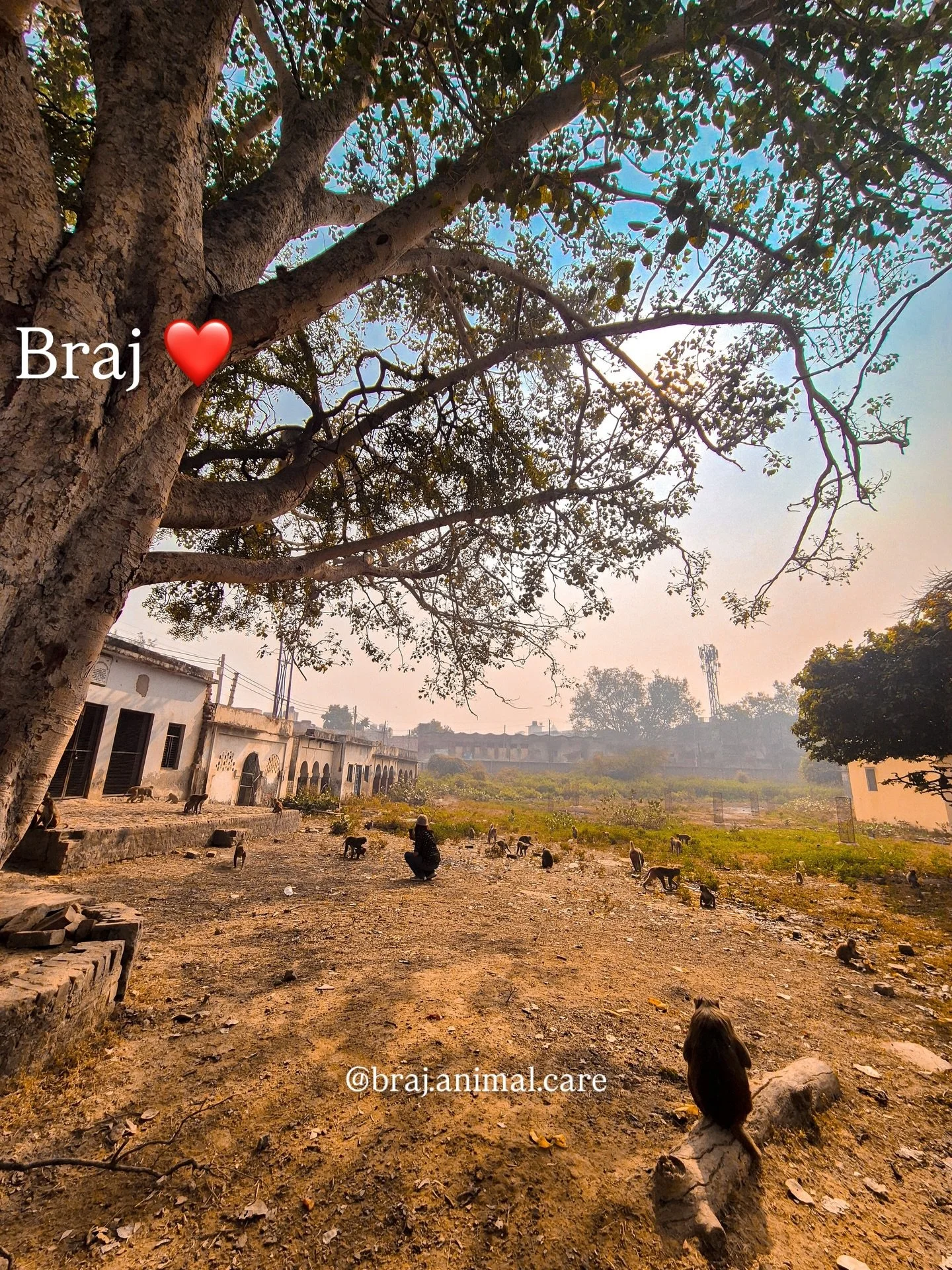POV: What&rsquo;s in it for me?

#brajanimalcare #volunteer #vibes