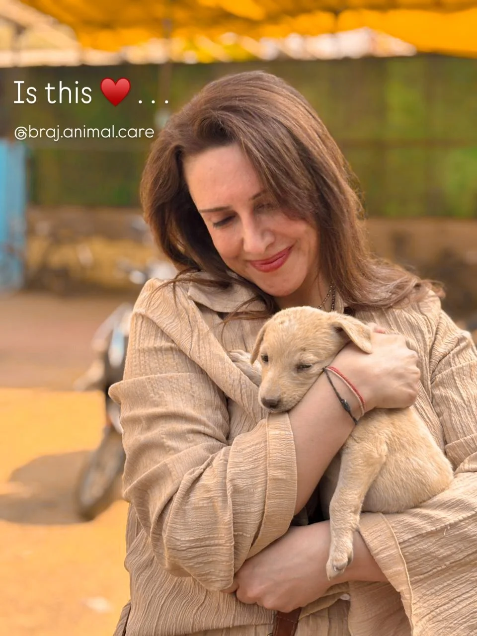 Kyon&hellip; dil in raaston pe hi ghar dhoond leta hai?
Where strays wait, and kindness becomes a daily prayer.

@braj.animal.care