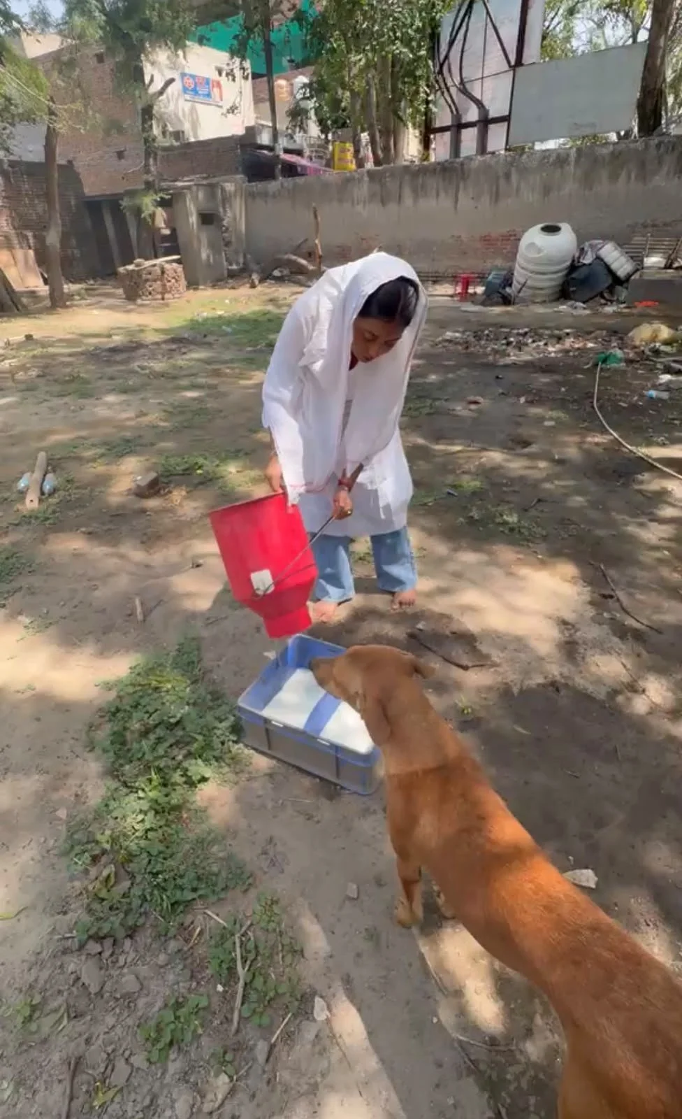 Finding Compassion in the Streets of Braj 3.jpeg
