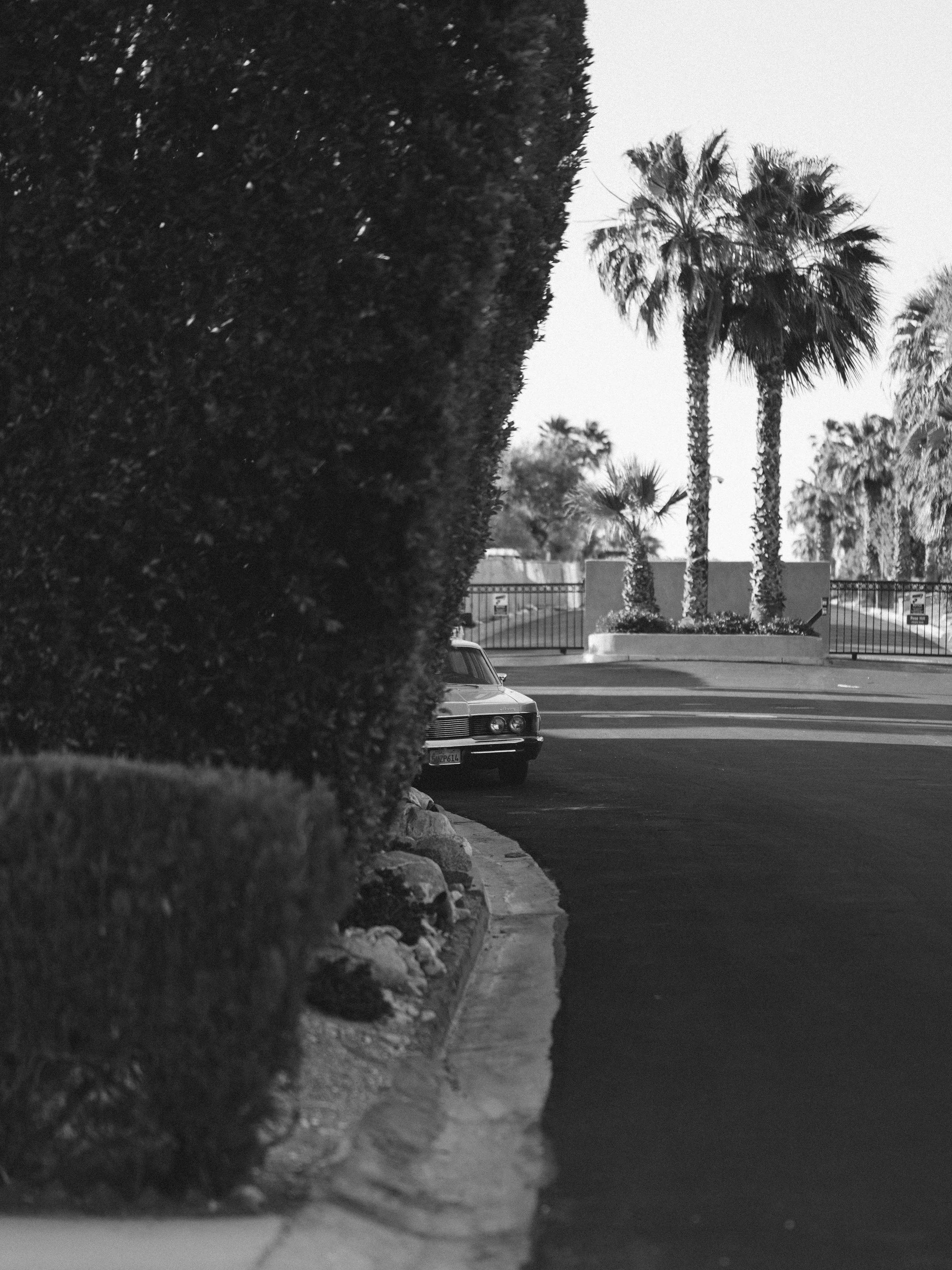 PalmSprings_May2025-web-_DSC4848.jpg
