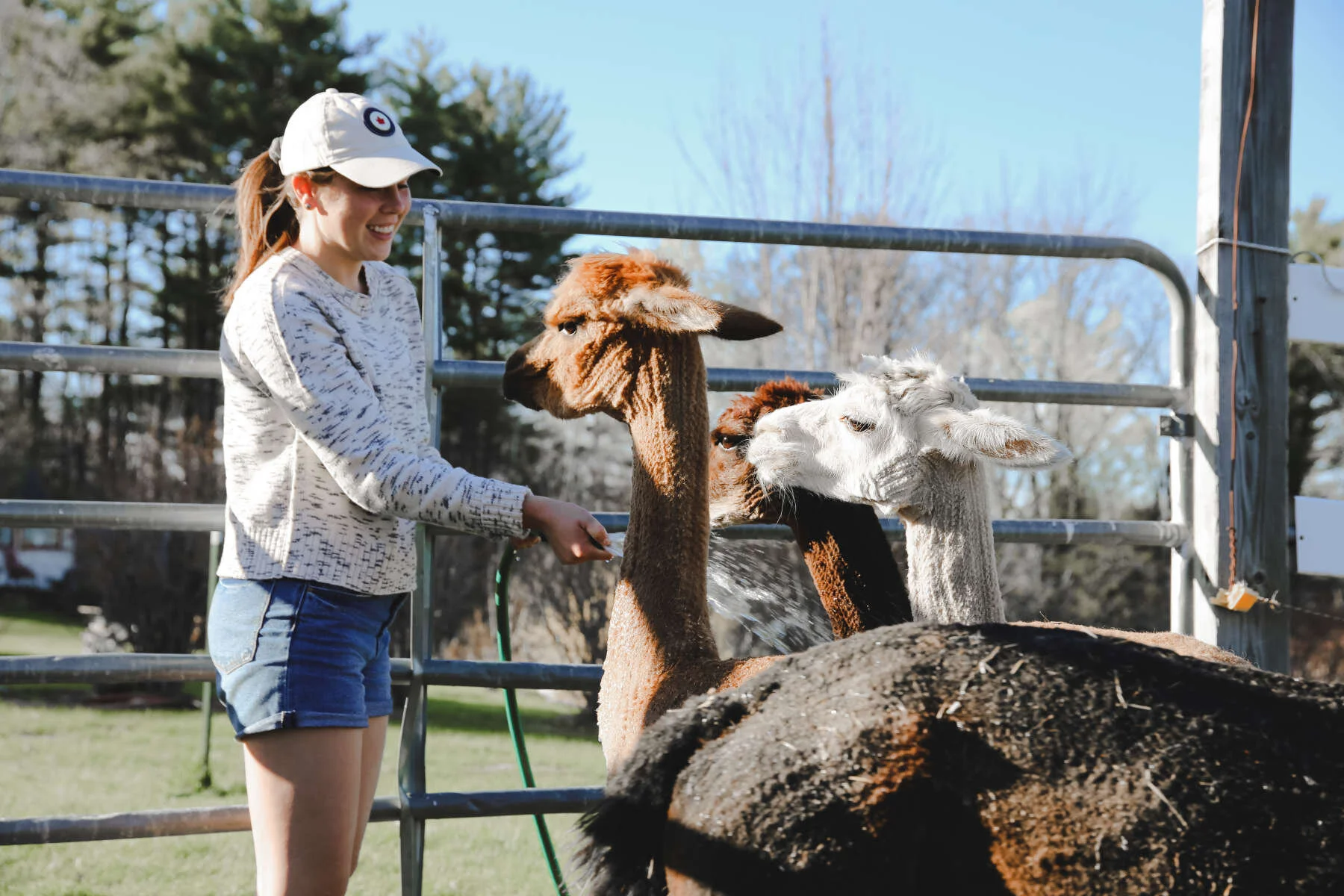 Glamping in the Northeast US Part 2 — the weekday weekender