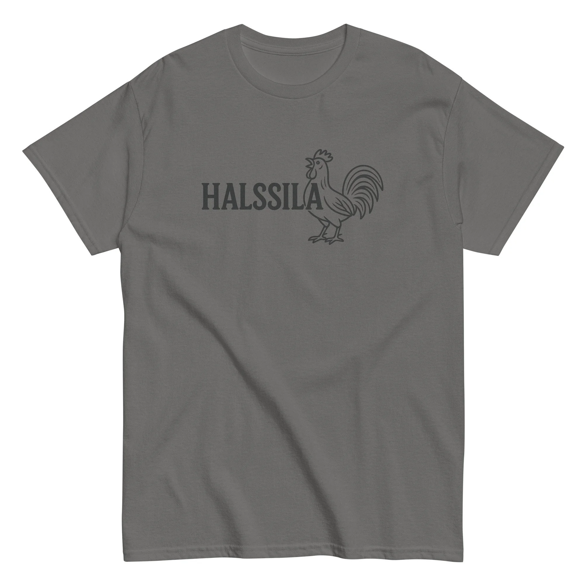 unisex-classic-tee-charcoal-front-68de372946739.jpg