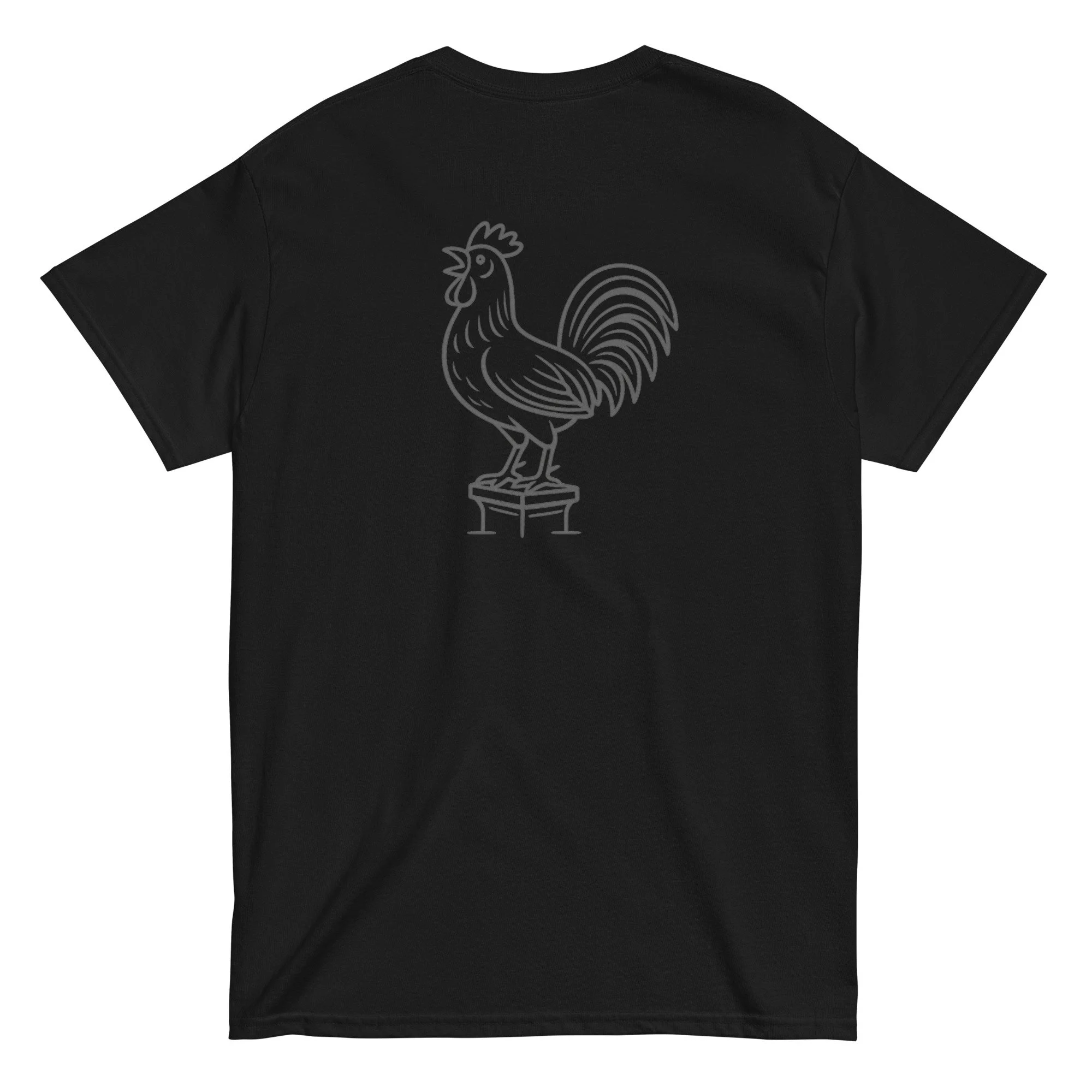 unisex-classic-tee-black-back-68de3729491ee.jpg