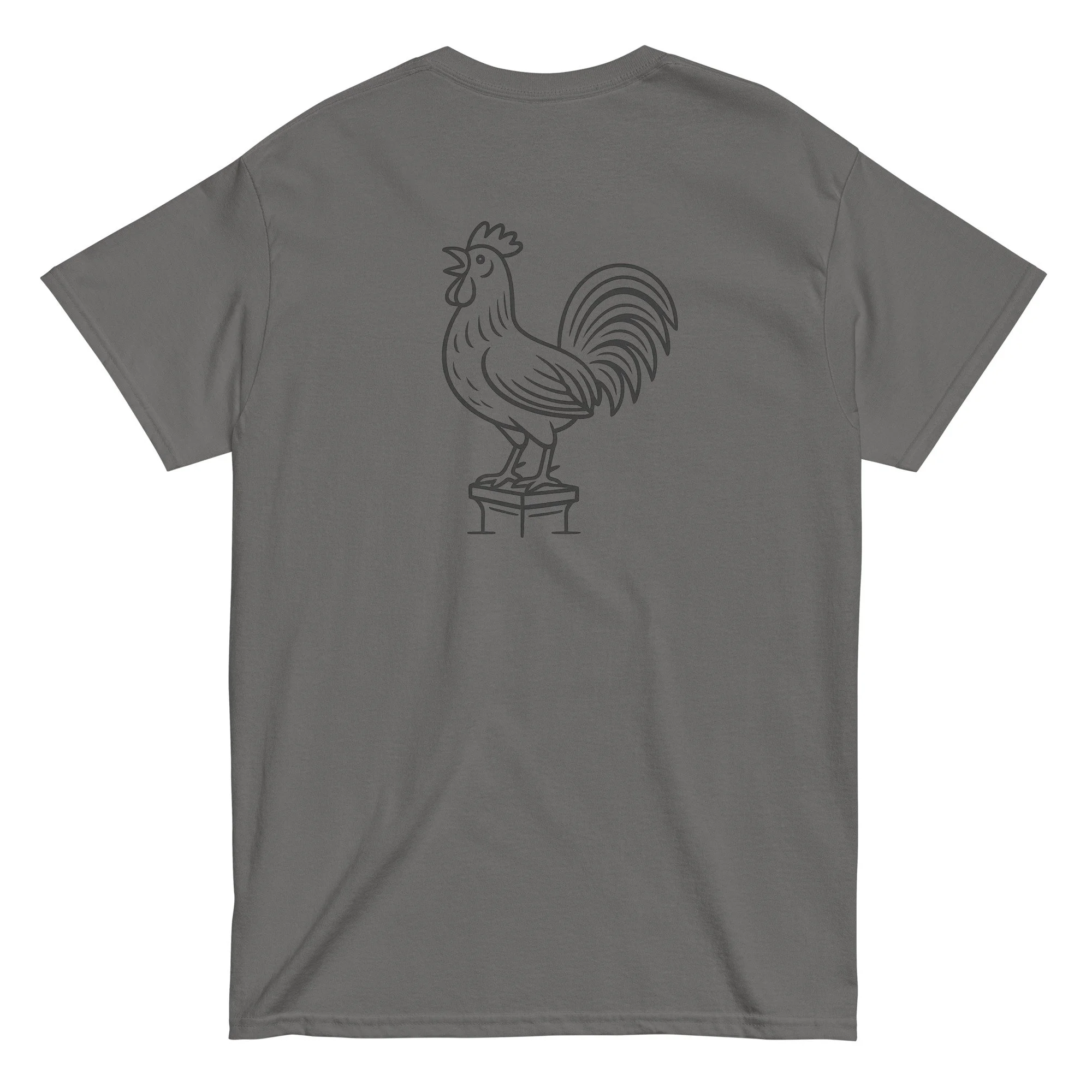 unisex-classic-tee-charcoal-back-68de372949b29.jpg