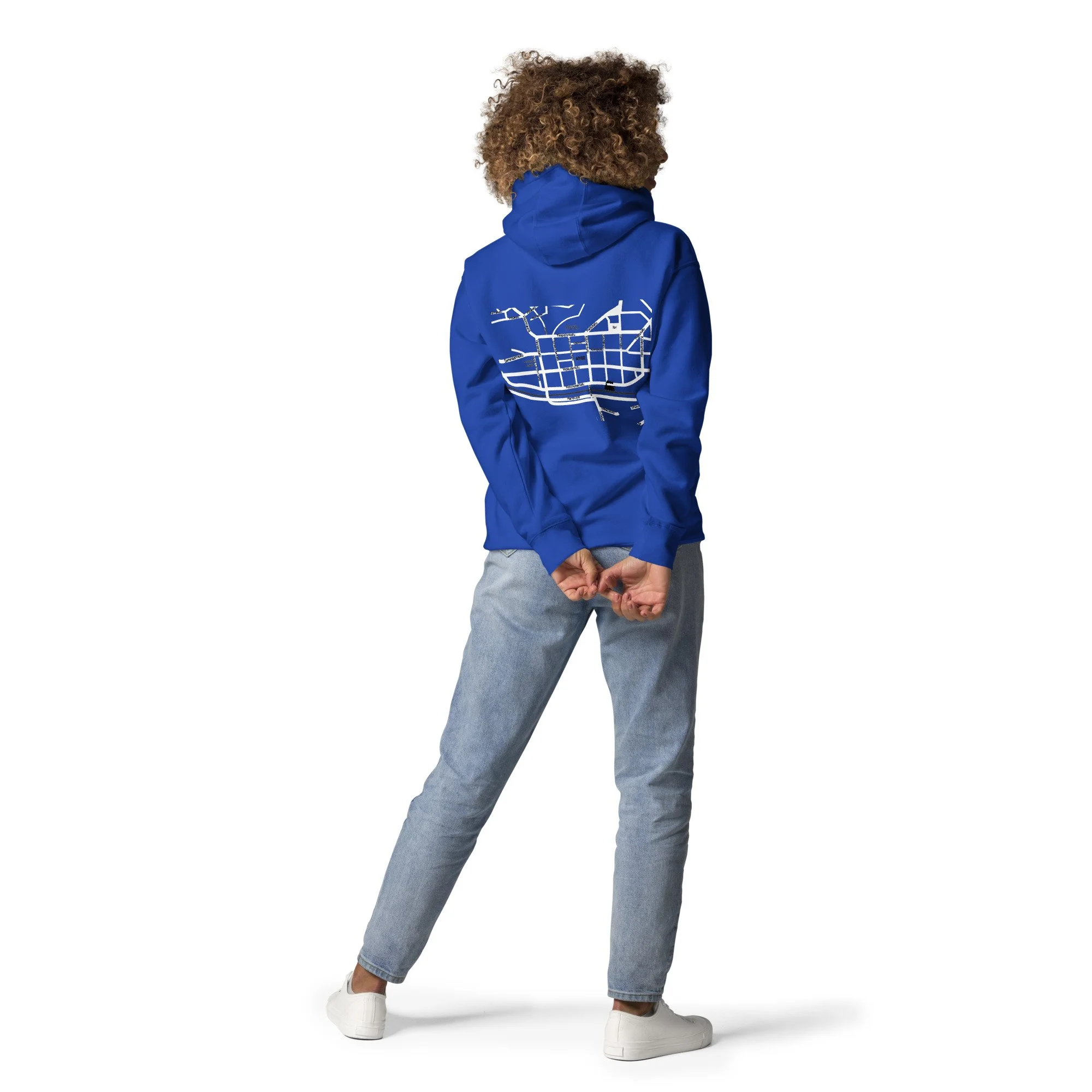 cotton-heritage-m2580-i-unisex-premium-pullover-hoodie-team-royal-back-68df8d71d9695.jpg