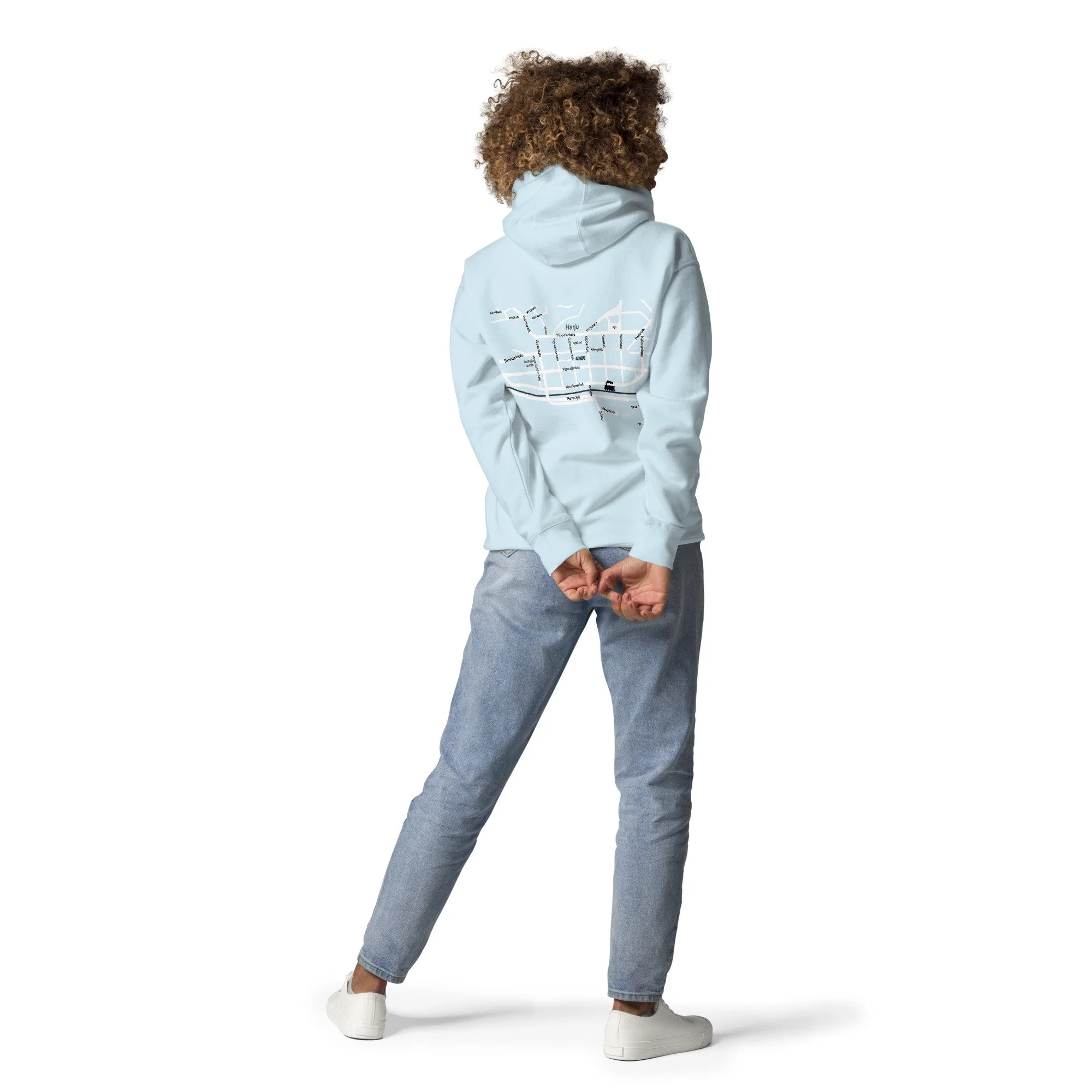 cotton-heritage-m2580-i-unisex-premium-pullover-hoodie-sky-blue-back-68df8d71e7978.jpg