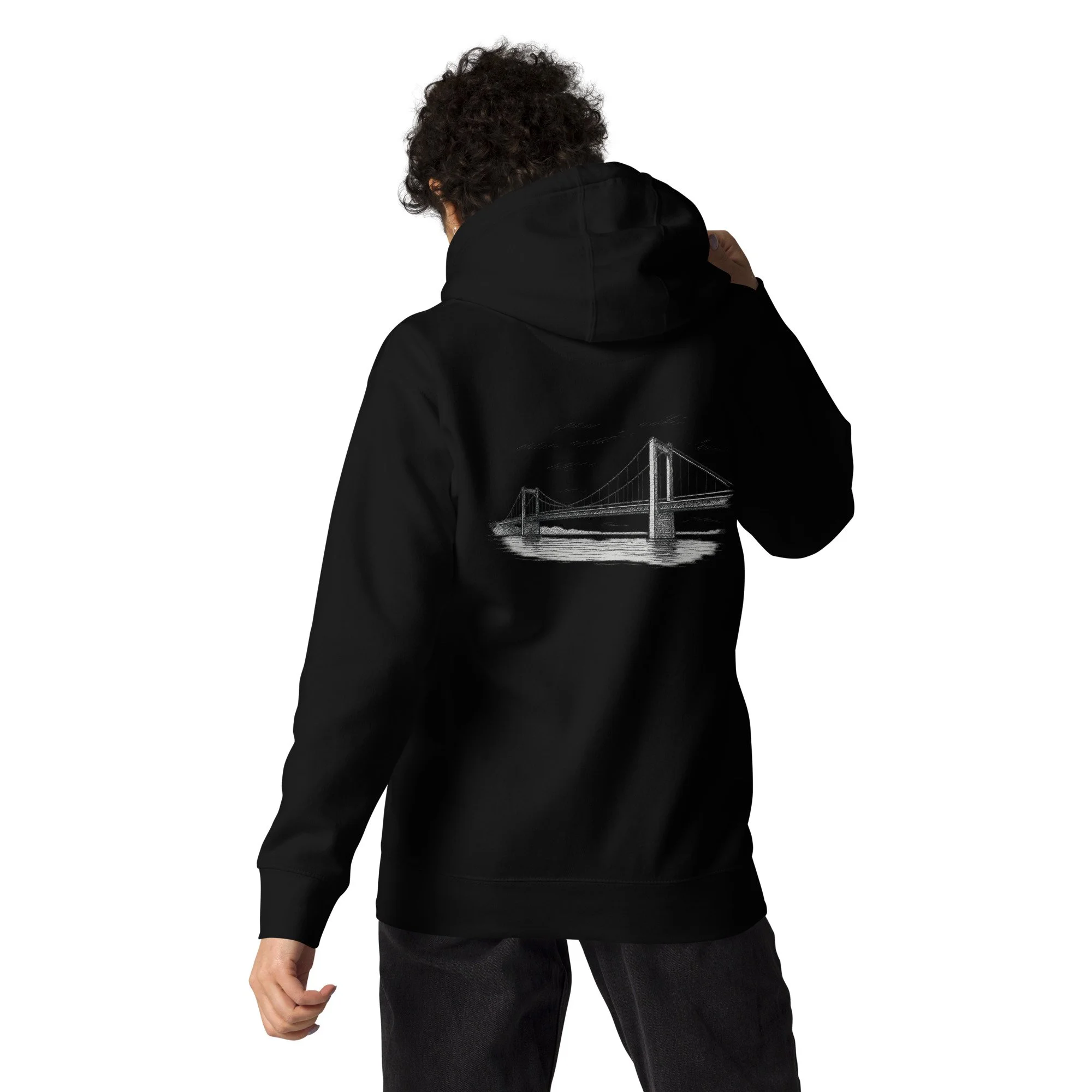cotton-heritage-m2580-i-unisex-premium-pullover-hoodie-black-back-68e2b039beda9.jpg