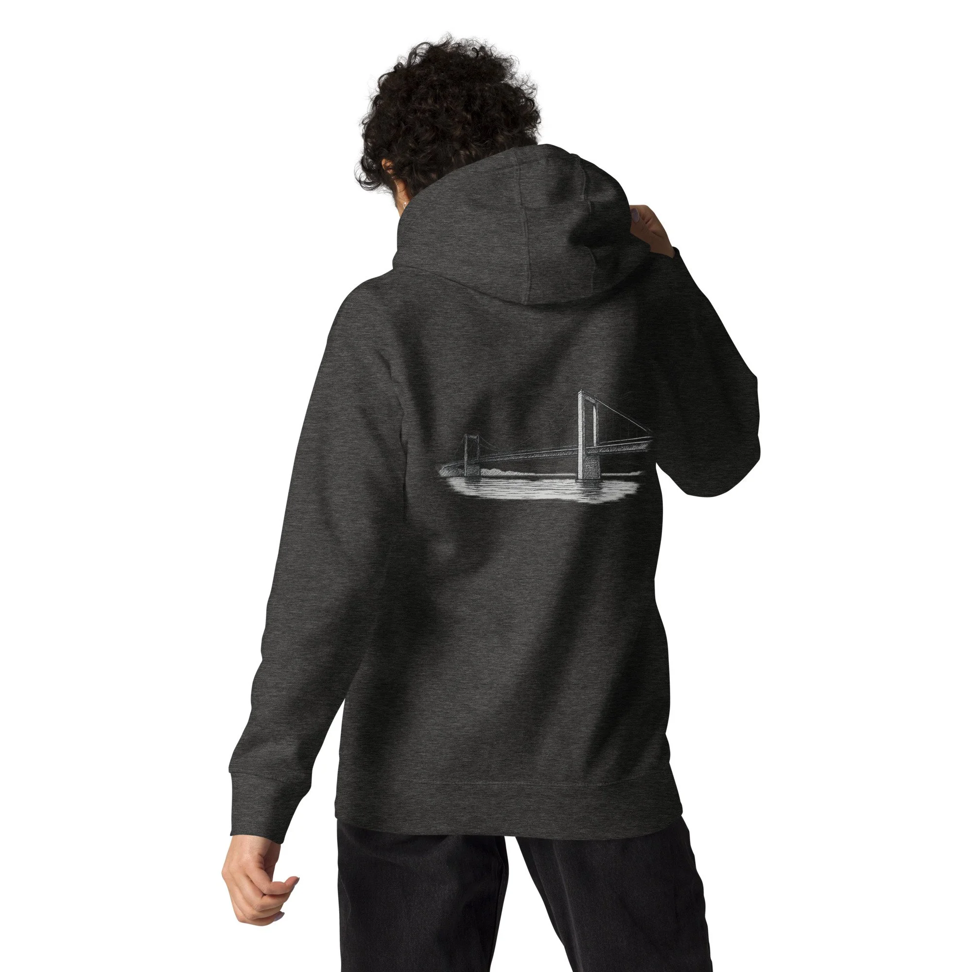 cotton-heritage-m2580-i-unisex-premium-pullover-hoodie-charcoal-heather-back-68e2b039c6081.jpg