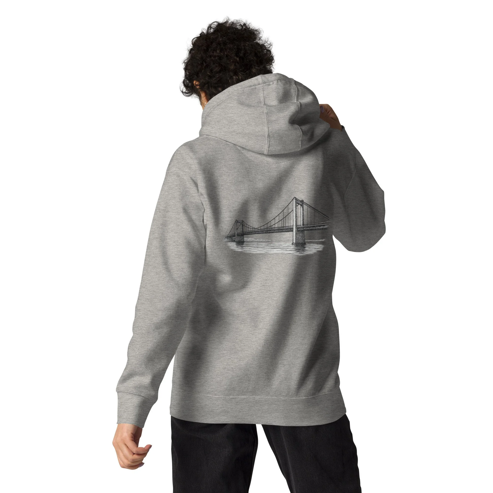 cotton-heritage-m2580-i-unisex-premium-pullover-hoodie-carbon-grey-back-68e2b039cef70.jpg