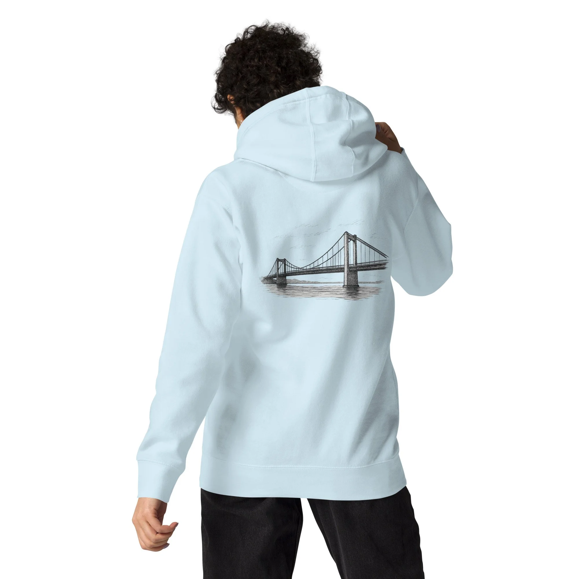 cotton-heritage-m2580-i-unisex-premium-pullover-hoodie-sky-blue-back-68e2b039d76d5.jpg
