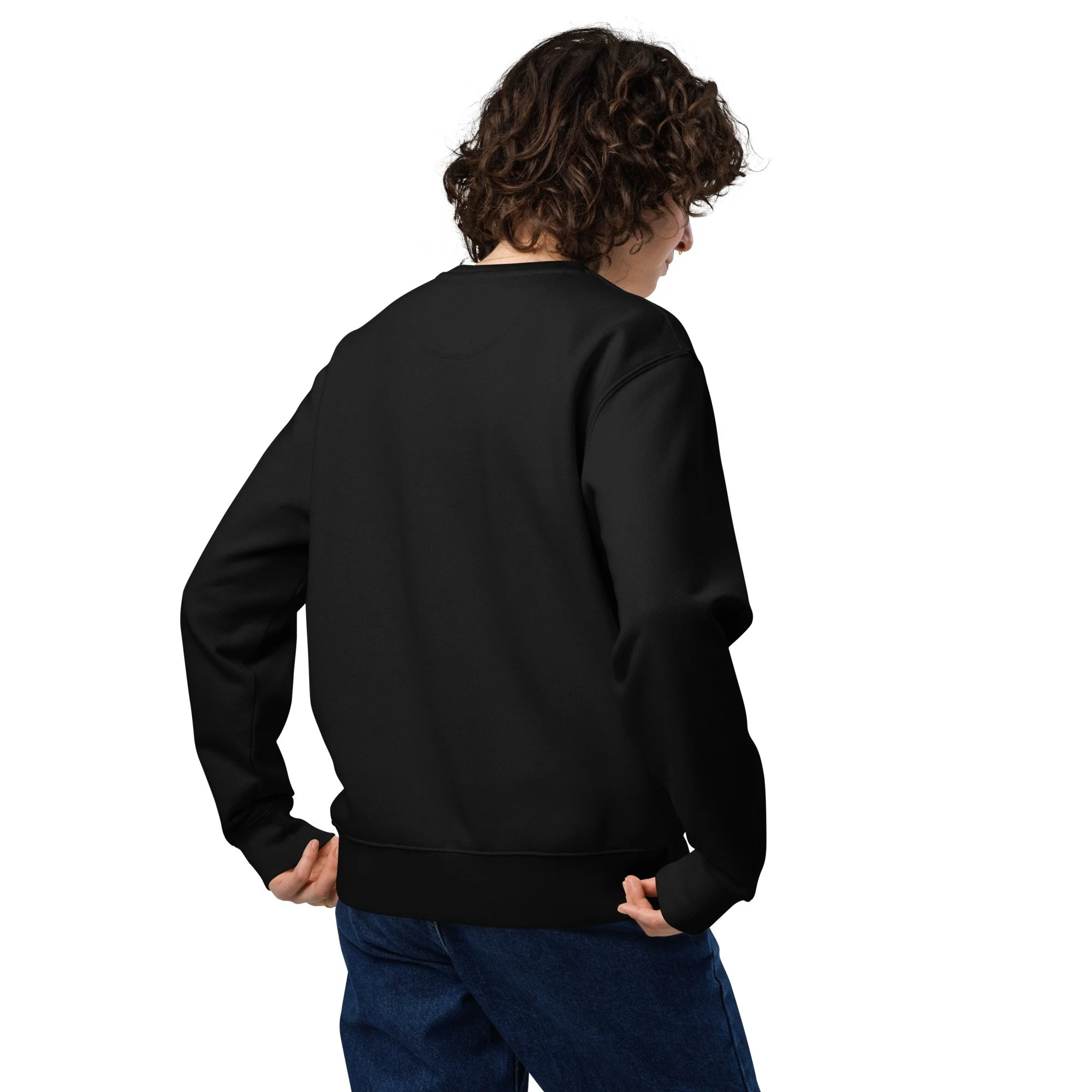 unisex-eco-sweatshirt-black-back-68e4c9b066b17.jpg