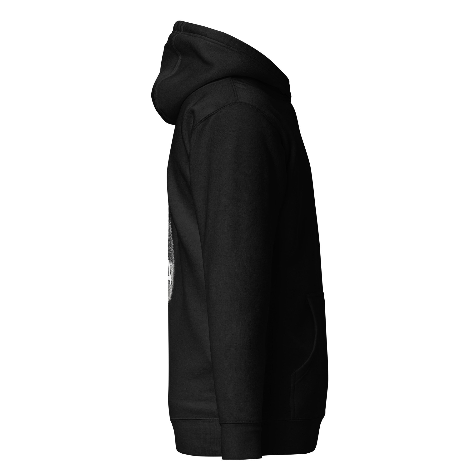 cotton-heritage-m2580-i-unisex-premium-pullover-hoodie-black-right-68e4d20b4add0.jpg