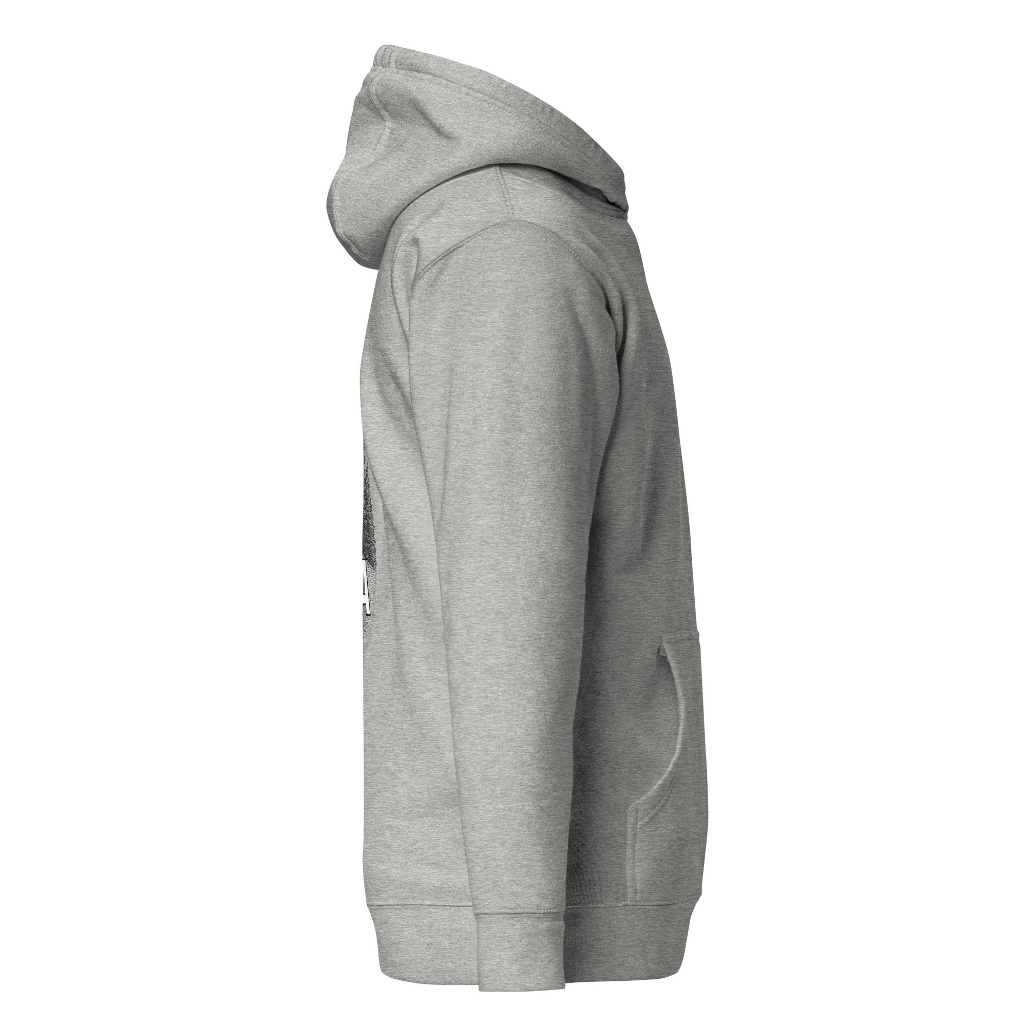 cotton-heritage-m2580-i-unisex-premium-pullover-hoodie-carbon-grey-right-68e4d20b9c83e.jpg