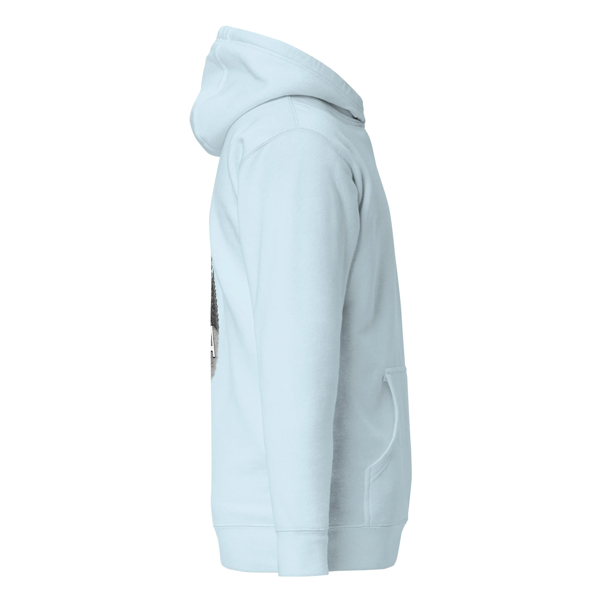 cotton-heritage-m2580-i-unisex-premium-pullover-hoodie-sky-blue-right-68e4d20bb8d4d.jpg