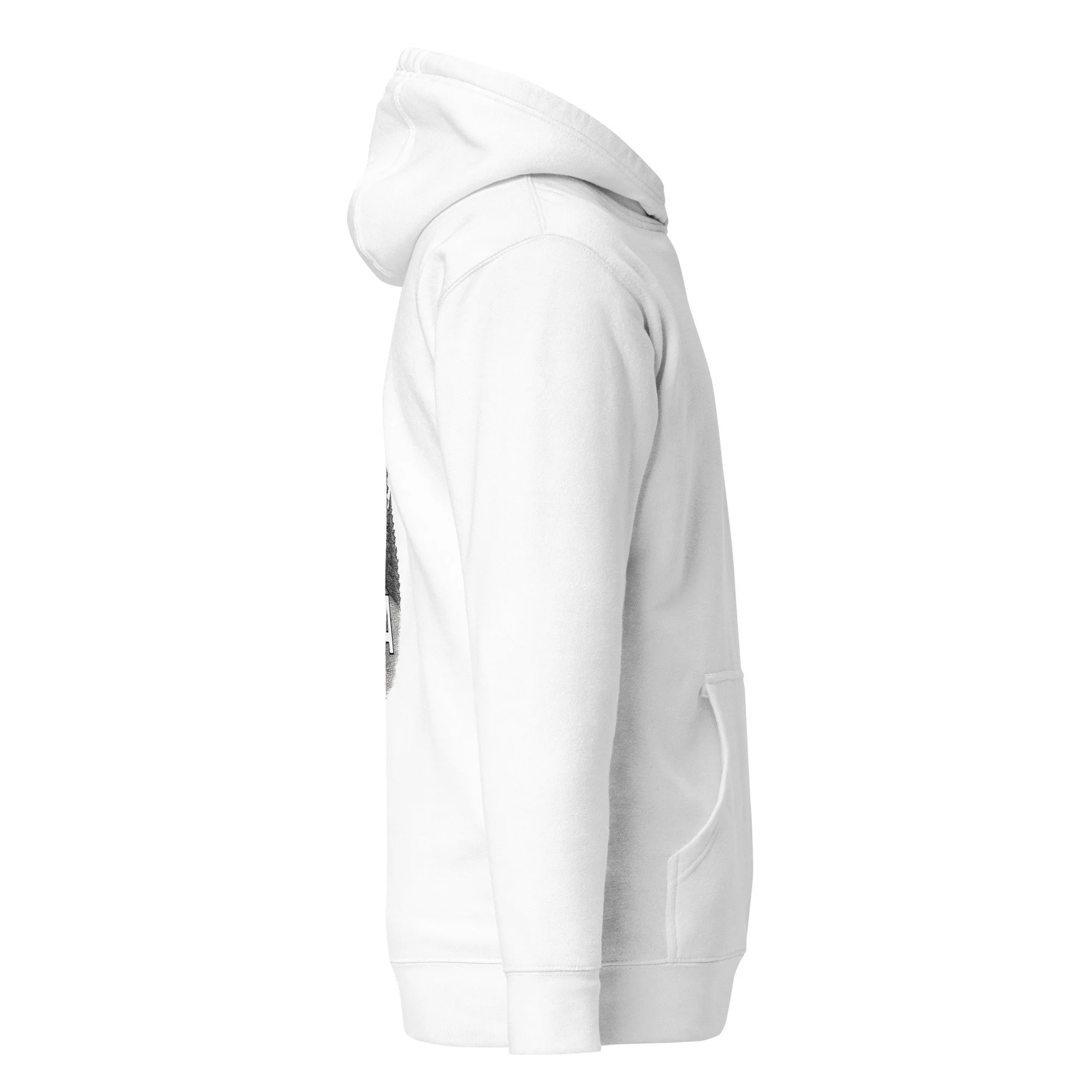 cotton-heritage-m2580-i-unisex-premium-pullover-hoodie-white-right-68e4d20bdc206.jpg