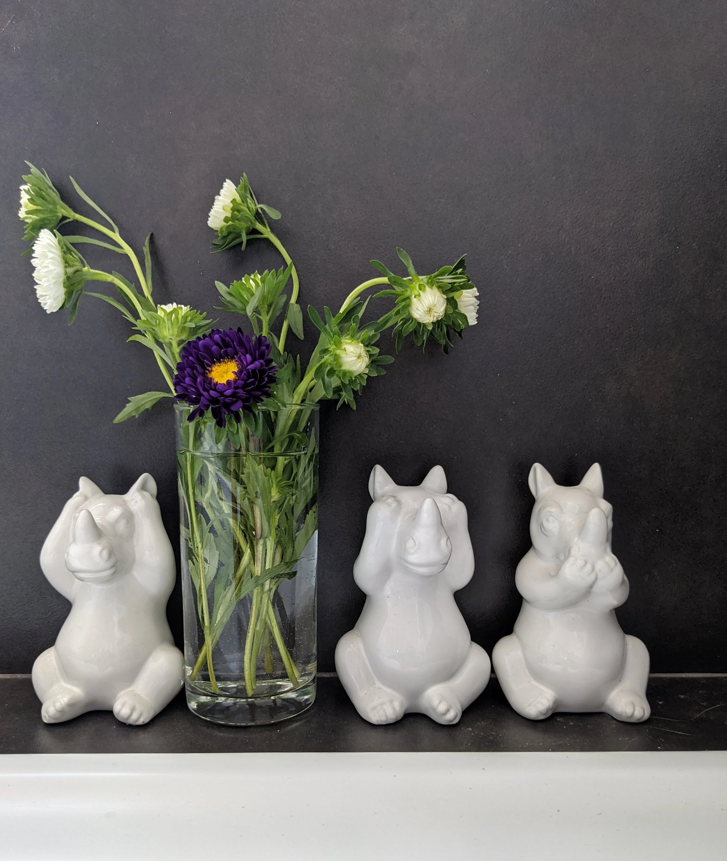 Settling Into Cape Town