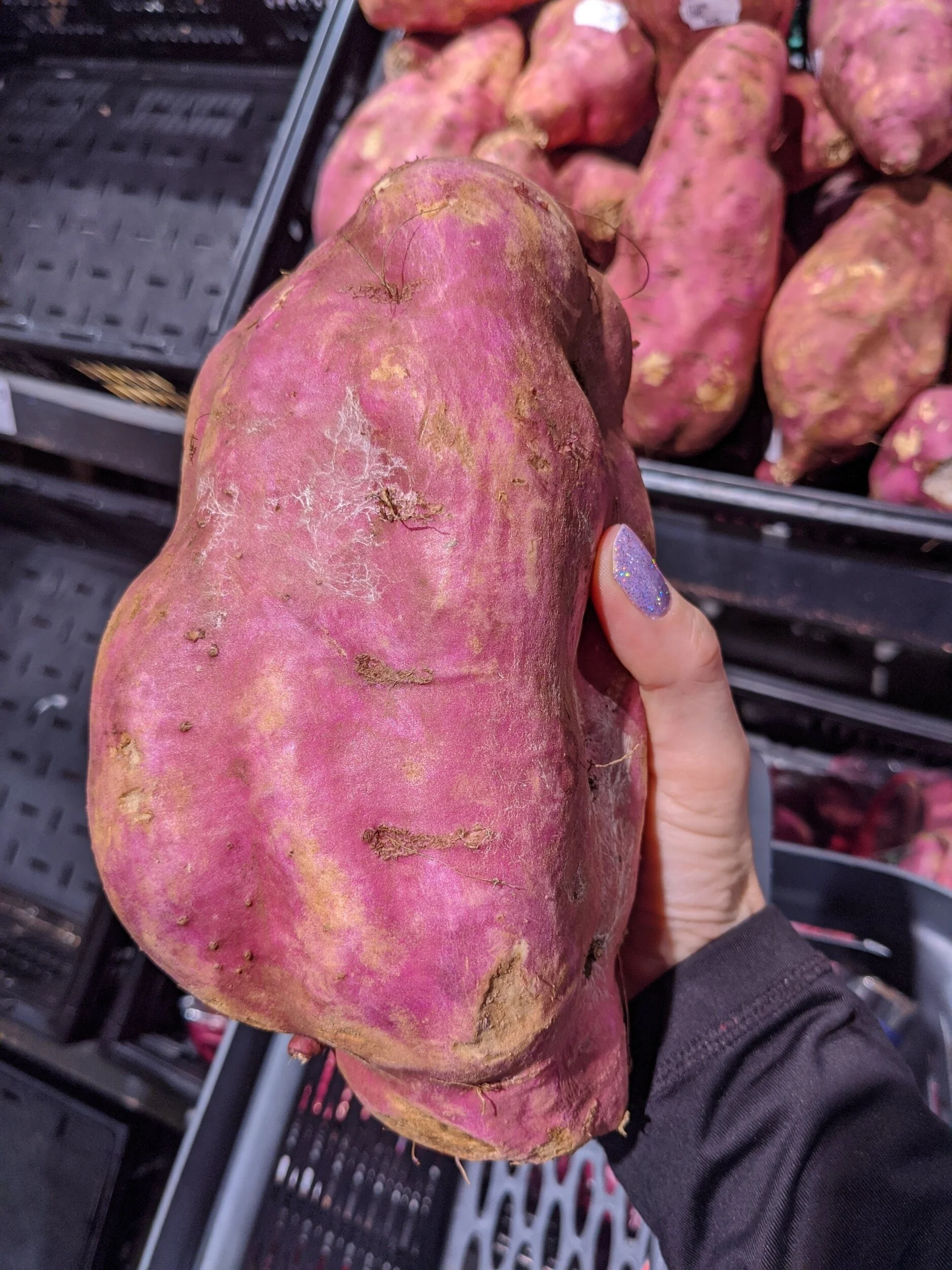 Just the biggest potato I've ever seen. 
