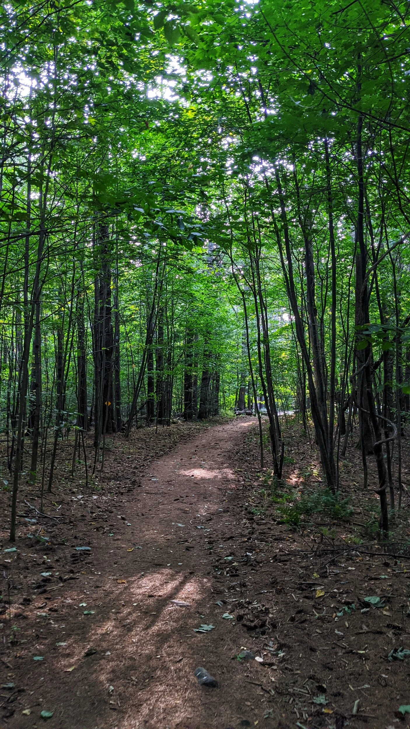 Our Favorite New Hampshire Hikes