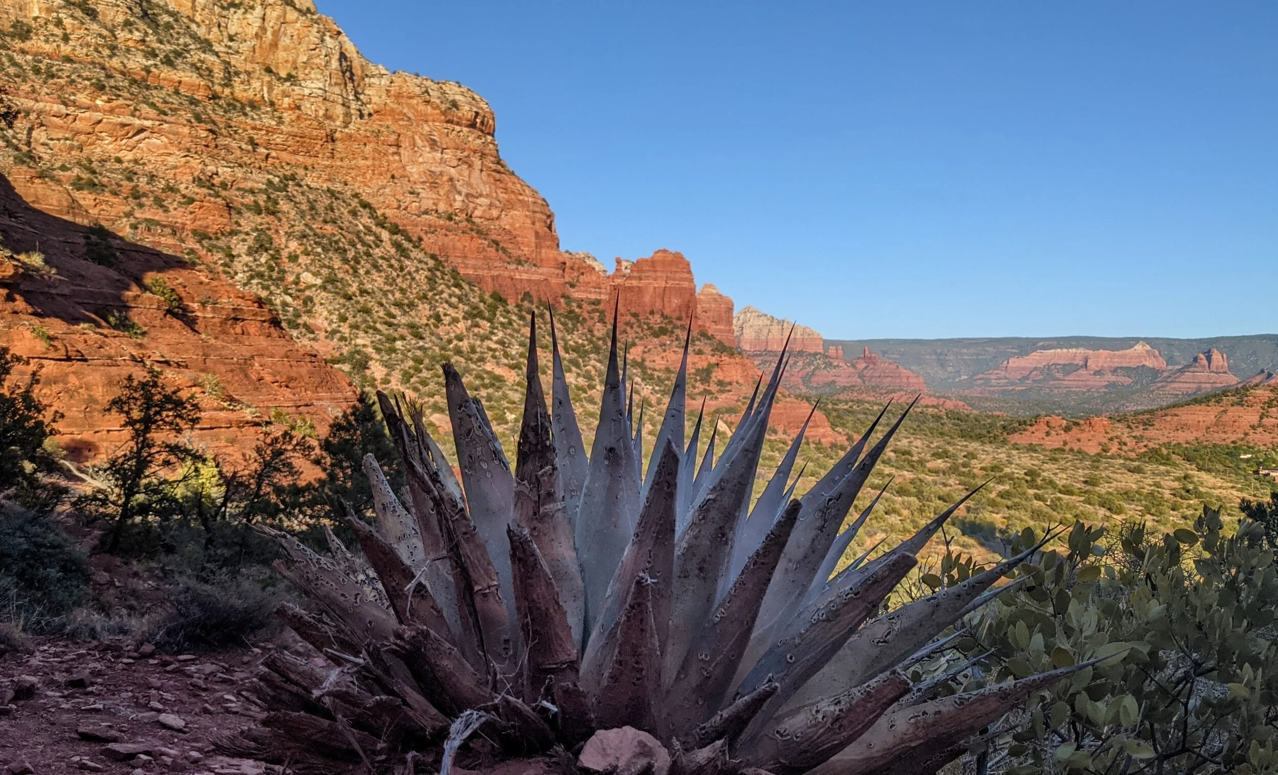 My Favorite Sedona Hikes